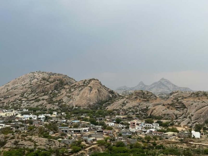Jodhpur: Day Trip to Jawai Leopard Safari and Ranakpur - The Sum Up: Why Choose This Day Trip?