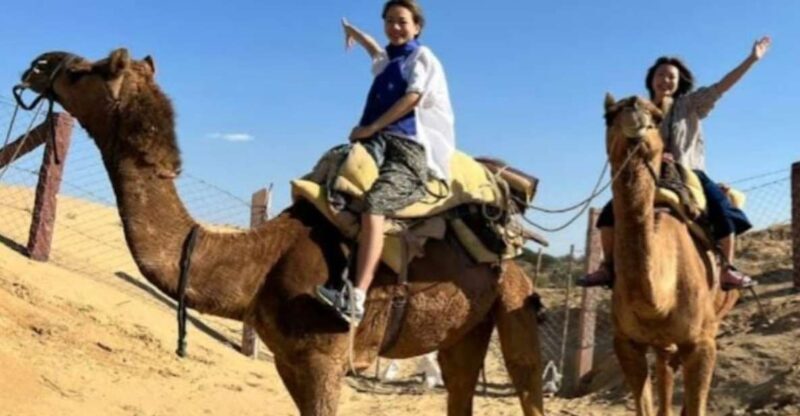 Jodhpur: Desert Camel and Jeep Safari with Traditional Food - Who Should Consider This Tour?