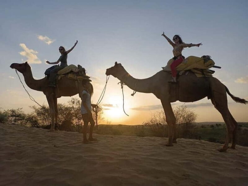 Jodhpur : Jeep Safari, Camel Ride,Buffet Dinner & Folk Dance - Key Points
