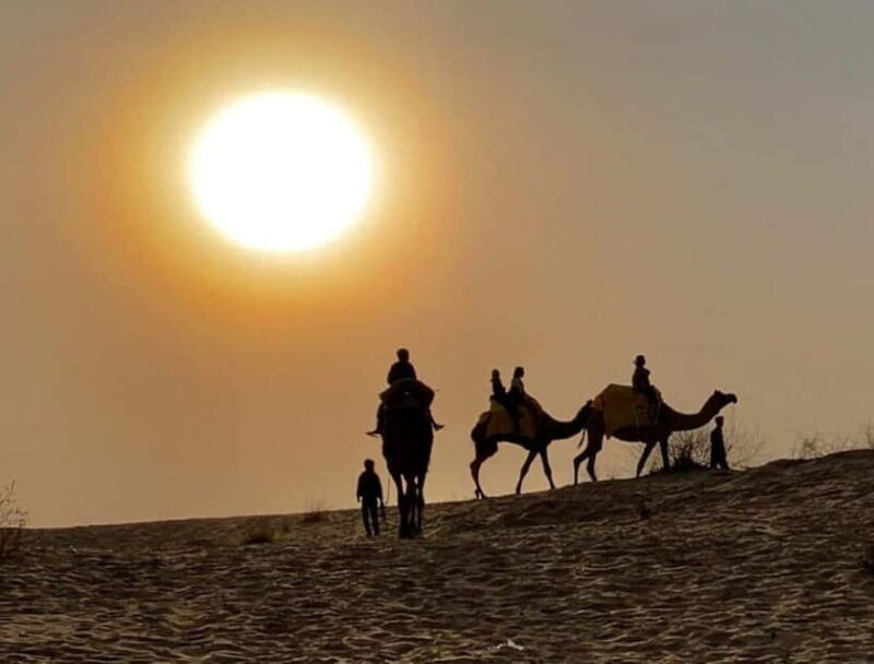 Jodhpur : Jeep Safari, Camel Ride,Buffet Dinner & Folk Dance - Final Thoughts