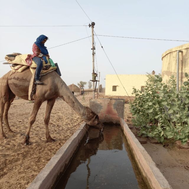 Jodhpur OvernightStay In Desert Rural Village With CamelRide - What Sets This Tour Apart?