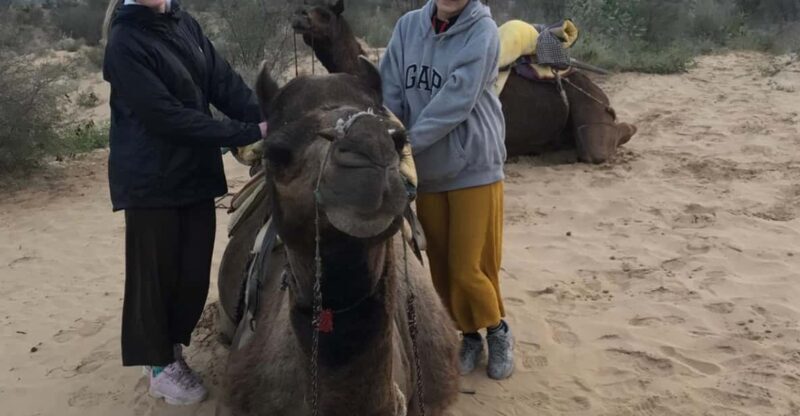 Jodhpur OvernightStay In Desert Rural Village With CamelRide - Who Will Love This Experience?