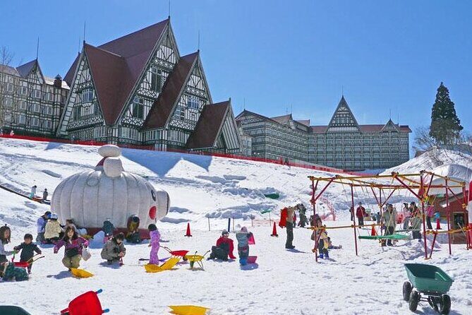 Joetsu Ski Resort Day Trip from Tokyo with 1 Day Lift Pass - Key Points