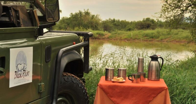Johannesburg: 2-Day 4-Star Pilanesberg Safari - Key Points