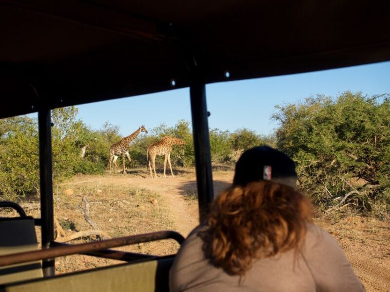 Johannesburg: 3-Day Classic Kruger National Park Safari Tour - Final Thoughts