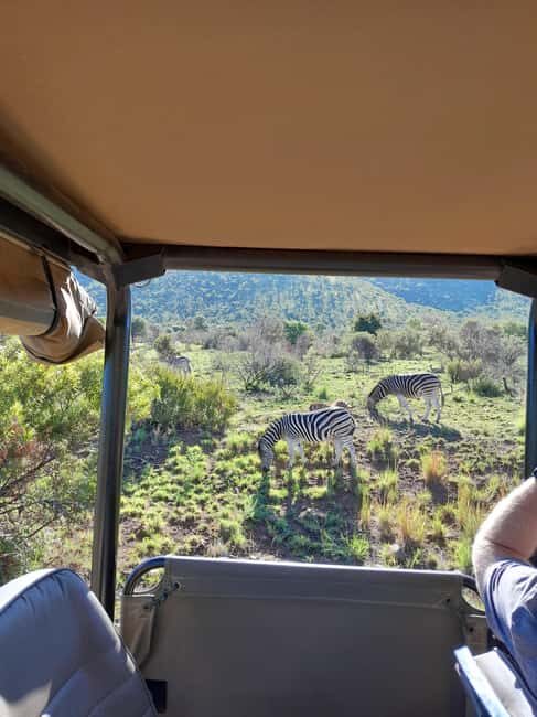 Johannesburg: 3 Hour Pilanesberg National Park Game Drive - What to Expect from Your Game Drive