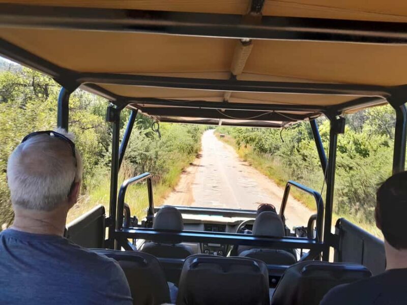 Johannesburg: 3 Hour Pilanesberg National Park Game Drive - Additional Tips for Your Safari