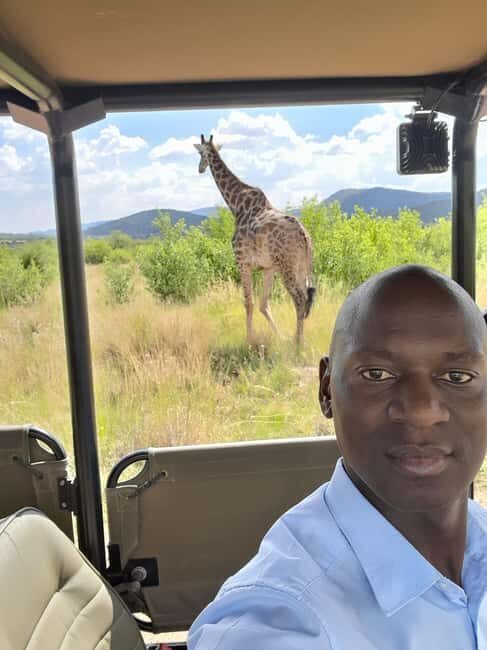 Johannesburg: 3 Hour Pilanesberg National Park Game Drive - The Sum Up