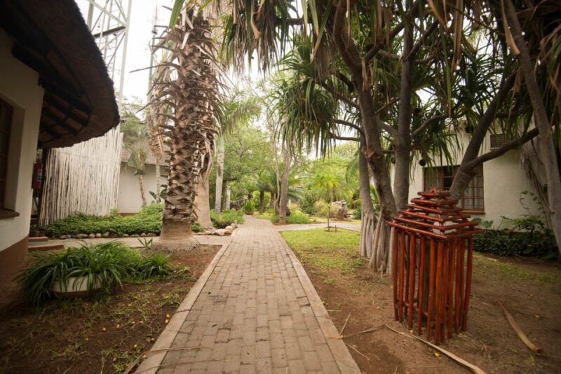 Johannesburg: 4-Day Classic Kruger National Park Safari - Authentic Encounters and Expert Guides