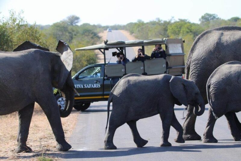 Johannesburg: 4-Day Classic Kruger National Park Safari - Who Will Love This Safari?