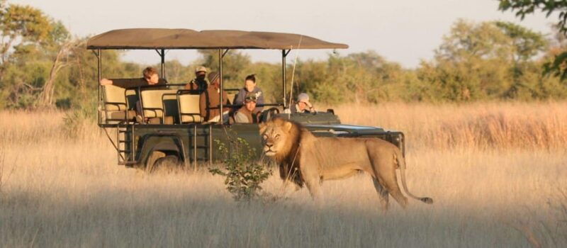 johannesburg-4-day-kruger-national-park-and-blyde-river