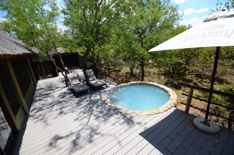Johannesburg: 6-Day Luxury Kruger National Park Safari - Overview of the Tour