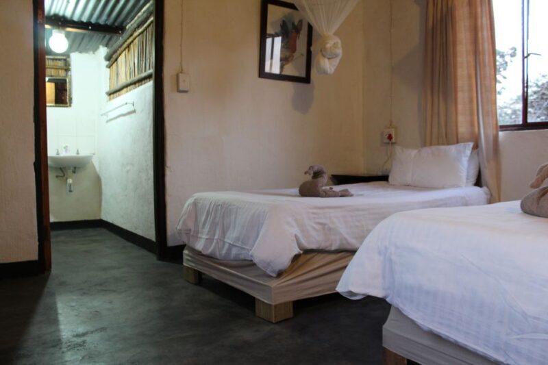 Johannesburg: Affordable 3 Day Kruger Park Safari - Real Traveler Perspectives