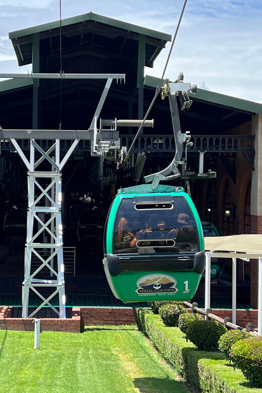Johannesburg: Cableway and Lunch Boat Cruise Half Day Tour - Johannesburg: Cableway and Lunch Boat Cruise Half Day Tour – A Complete Review