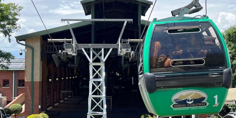 Johannesburg: Cableway and Lunch Boat Cruise Half Day Tour - Transfers and Comfort