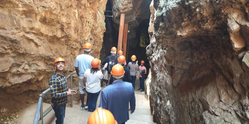 Johannesburg: Cradle of Human Kind & Lesedi Cultural Village - The Details of the Tour: What You Can Expect