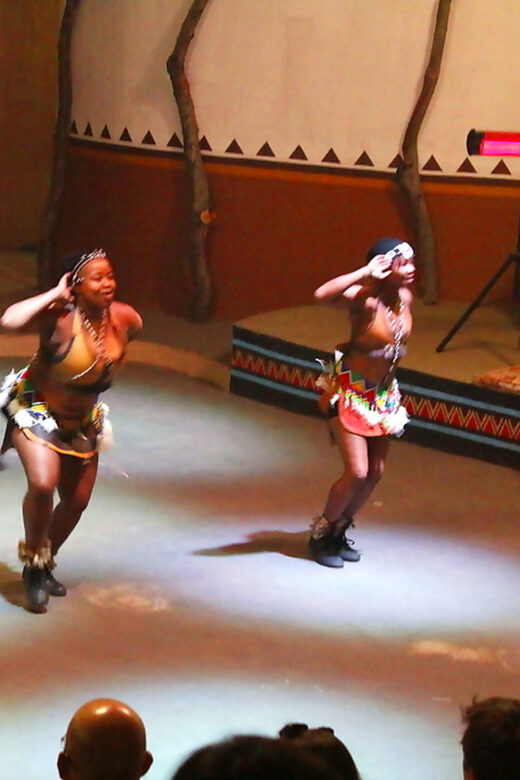 Johannesburg: Cradle of Human Kind & Lesedi Cultural Village - Practical Tips for Your Trip