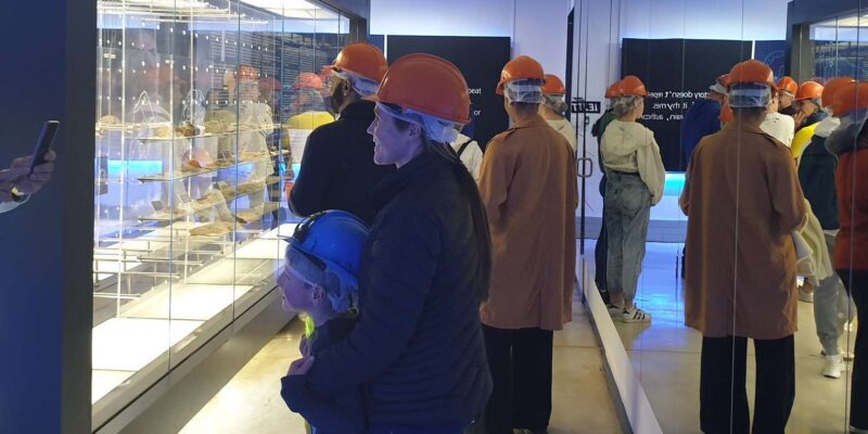Johannesburg: Cradle of Human Kind & Lesedi Cultural Village - Authentic Insights from Travelers