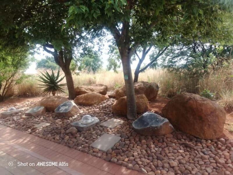 Johannesburg: Cradle of Humankind, Lion Park & Lesedi Tour - Key Points