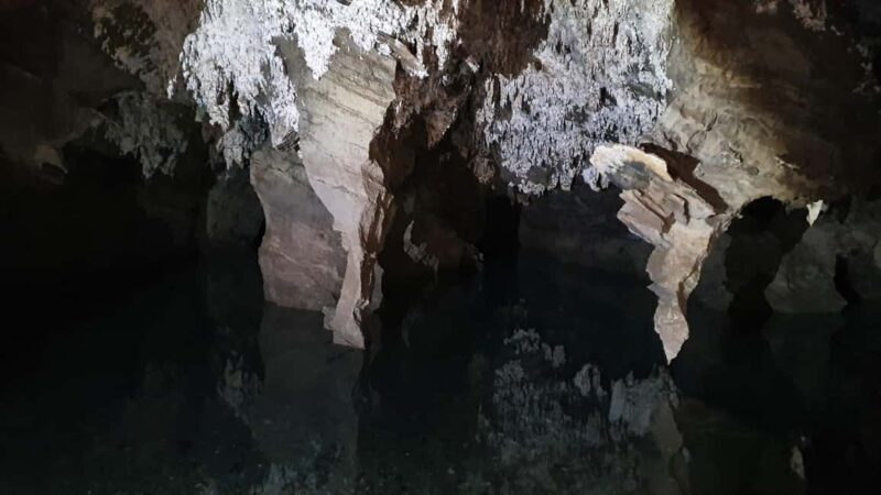 Johannesburg: Cradle of Humankind World Heritage Site Tour - Johannesburg: Cradle of Humankind World Heritage Site Tour