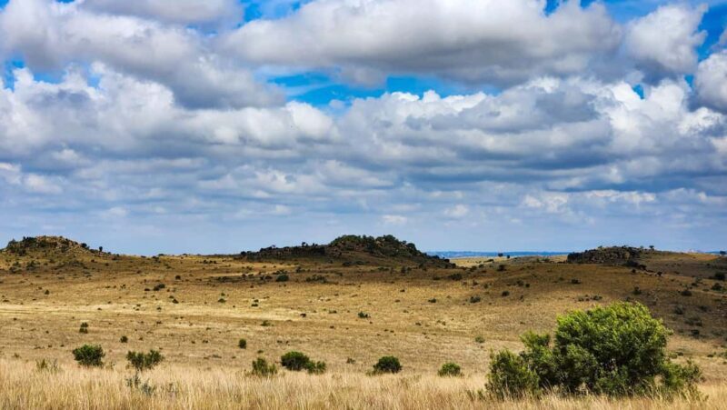 Johannesburg: Cradle of Humankind World Heritage Site Tour - Practical Details: Transportation, Duration, and Comfort