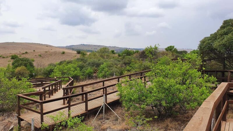 Johannesburg: Cradle of Humankind World Heritage Site Tour - The Value of the Experience