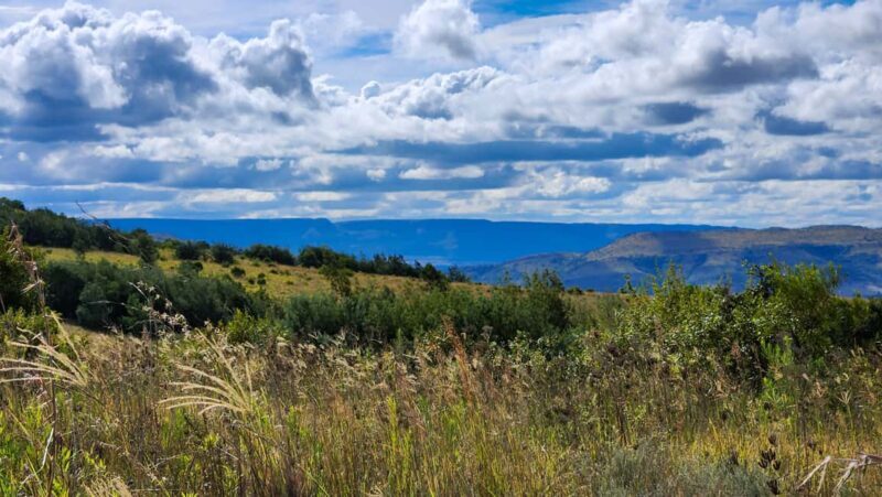 Johannesburg: Cradle of Humankind World Heritage Site Tour - FAQ