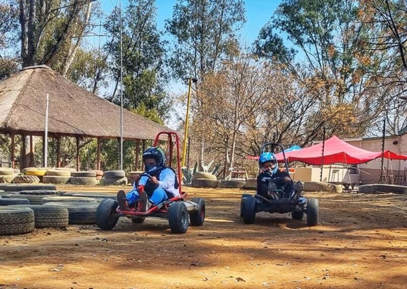 Johannesburg: Go Karting & Transfer to Lanseria Included - What Is the Johannesburg Go-Karting & Transfer Experience?