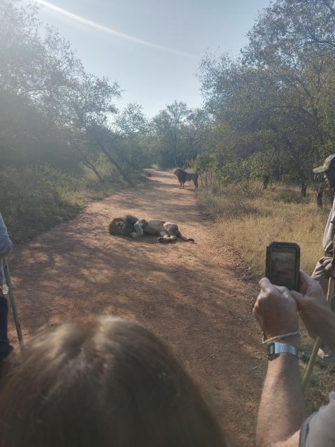 Johannesburg: Guided Walk with Lions in the African Bush - FAQs