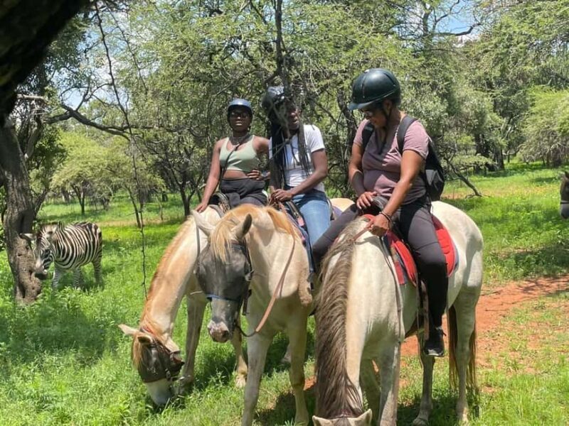 JOHANNESBURG: Horse Riding & Quad Biking Adventure - The Sum Up