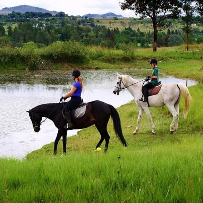 Johannesburg Horse Riding: Return Tranfer Included Lanseria - Key Points
