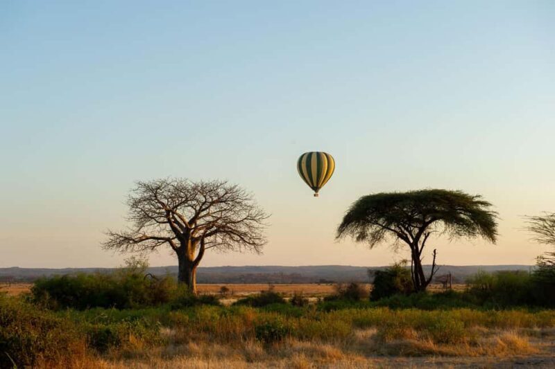 Johannesburg: Hot Air Balloon Flight - The Experience at a Glance