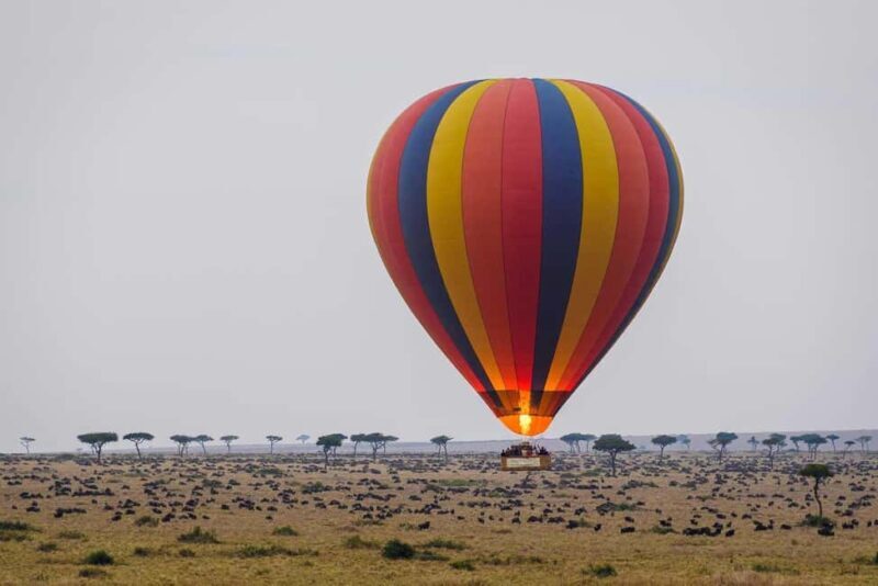 Johannesburg: Hot Air Balloon Flight - What Sets This Tour Apart?