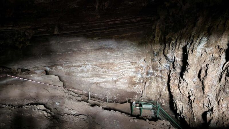 Johannesburg: Human Origins day tour and Malapa Museum - Key Points
