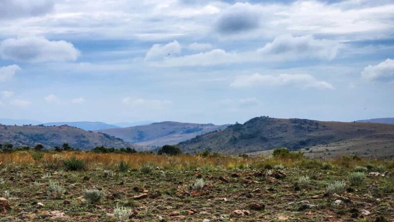 Johannesburg: Human Origins day tour and Malapa Museum - Exploring the Day Itinerary: What You Can Expect