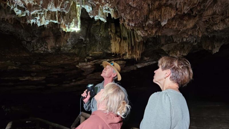 Johannesburg: Human Origins day tour and Malapa Museum - Price and Value