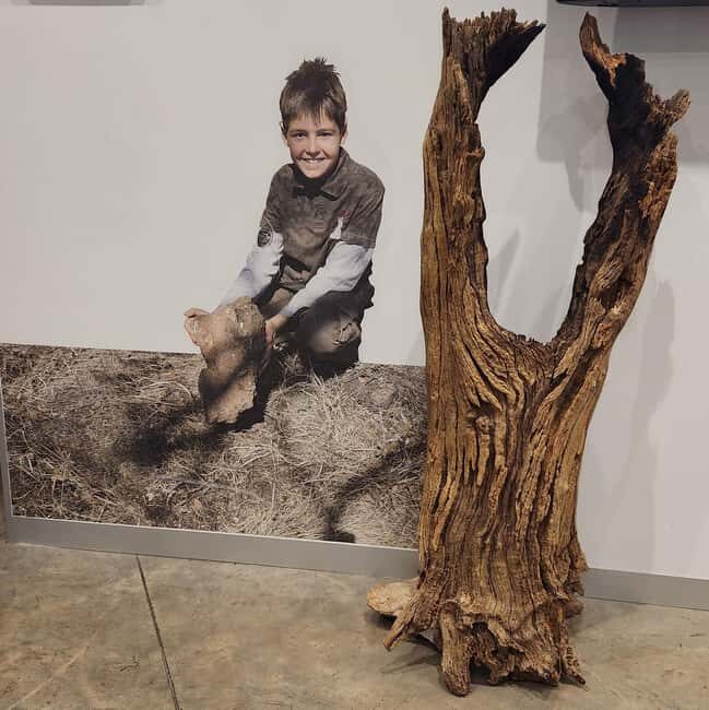 Johannesburg: Human Origins day tour and Malapa Museum - Frequently Asked Questions