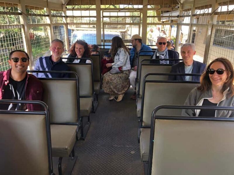Johannesburg: Lion and Safari Park Tour with Hotel Pickup - An In-Depth Look at the Tour Experience
