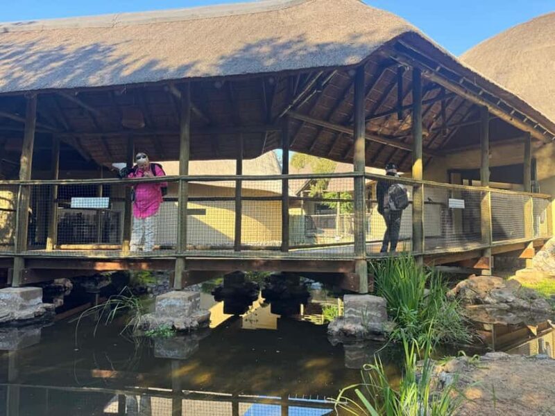 Johannesburg Lion Park and Lesedi Cultural Village - An Overview of the Tour Experience