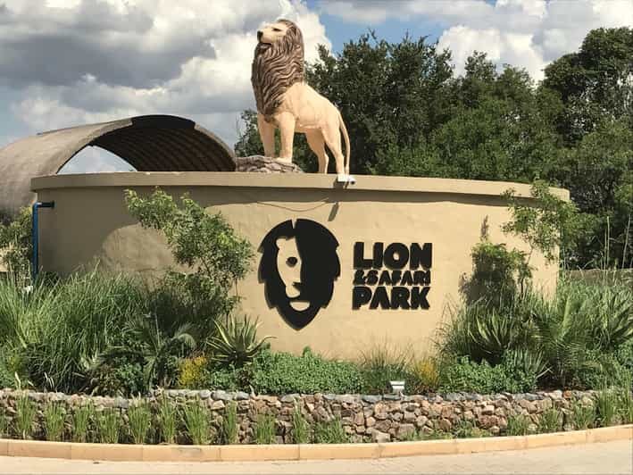 Johannesburg Lion & Safari Park TRANSFER & ENTRANCE INCLUDED - A Closer Look at the Johannesburg Lion & Safari Park Experience