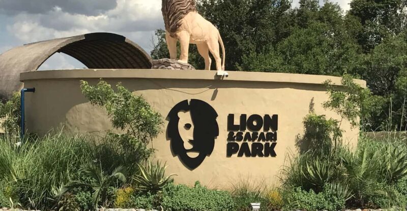 Johannesburg Lion & Safari Park TRANSFER & ENTRANCE INCLUDED - The Sum Up