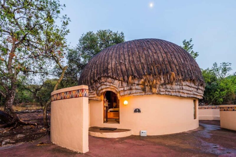 Johannesburg: Lion's Park Safari and Lesedi Cultural Village - FAQ