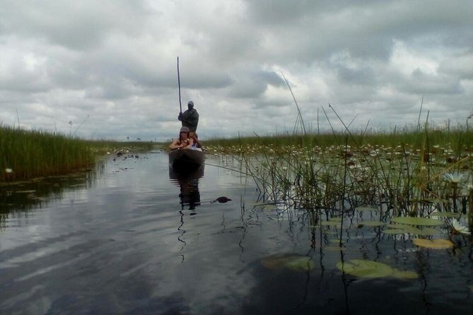 Johannesburg or Gaborone to Maun: 5 Day Rhinos, Diamonds & Okavango Delta Tour - The Sum Up