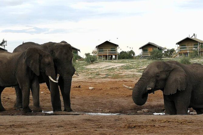 Johannesburg or Gaborone to Victoria Falls 10 Day ACROSS BOTSWANA SmallGroupTour - Key Points