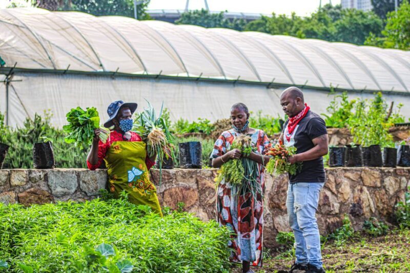 Johannesburg: Pan-African Cooking & Dinning Experience - Key Points