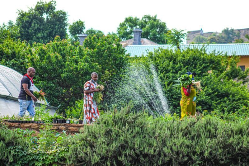 Johannesburg: Pan-African Cooking & Dinning Experience - What to Expect from the Johannesburg Pan-African Cooking & Dining Experience
