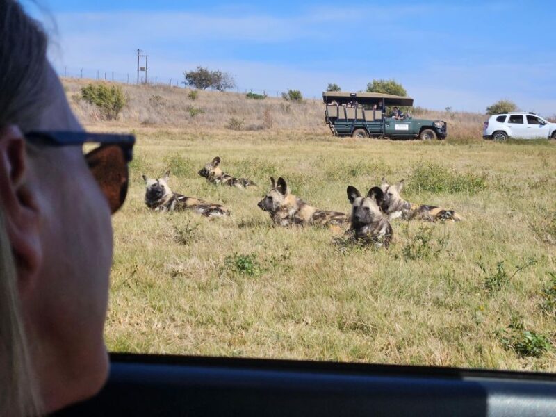 Johannesburg: Rhino and Lion Park Safari and Maropeng Museum - FAQ