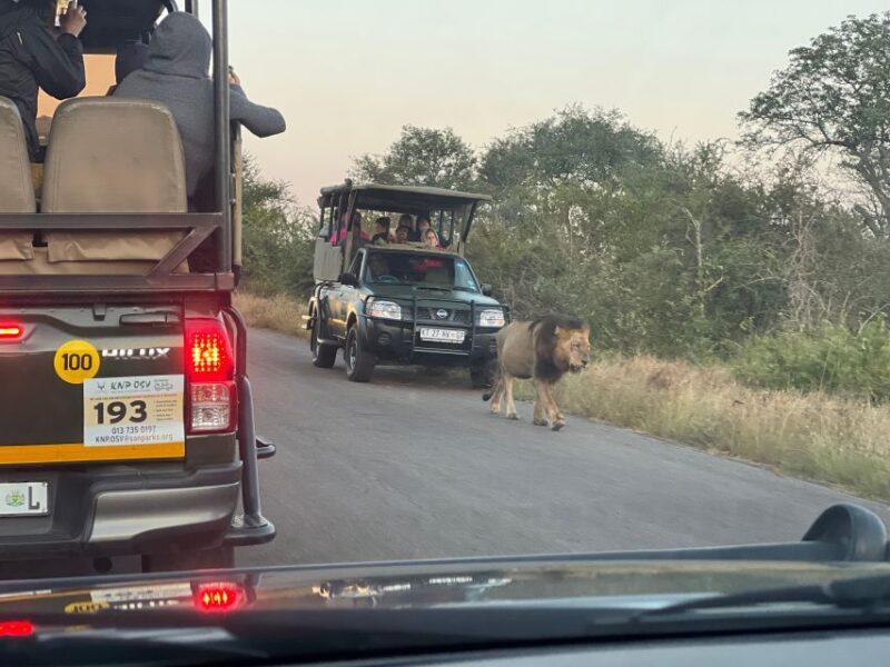 Johannesburg Safari Day Tour - Pilanesberg Big 5 Adventure - Practical Tips for Maximizing Your Safari