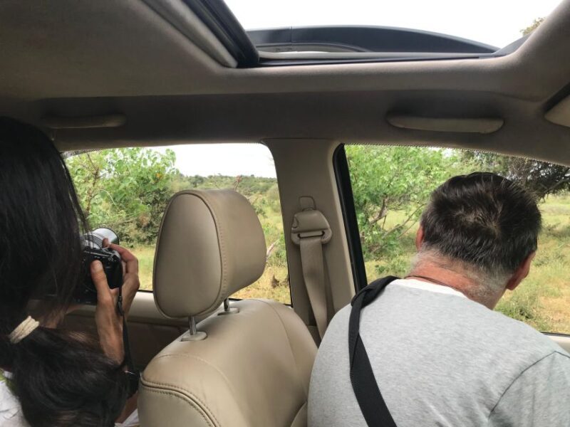 Johannesburg Safari Day Tour - Pilanesberg Big 5 Adventure - Who Is This Tour Best For?