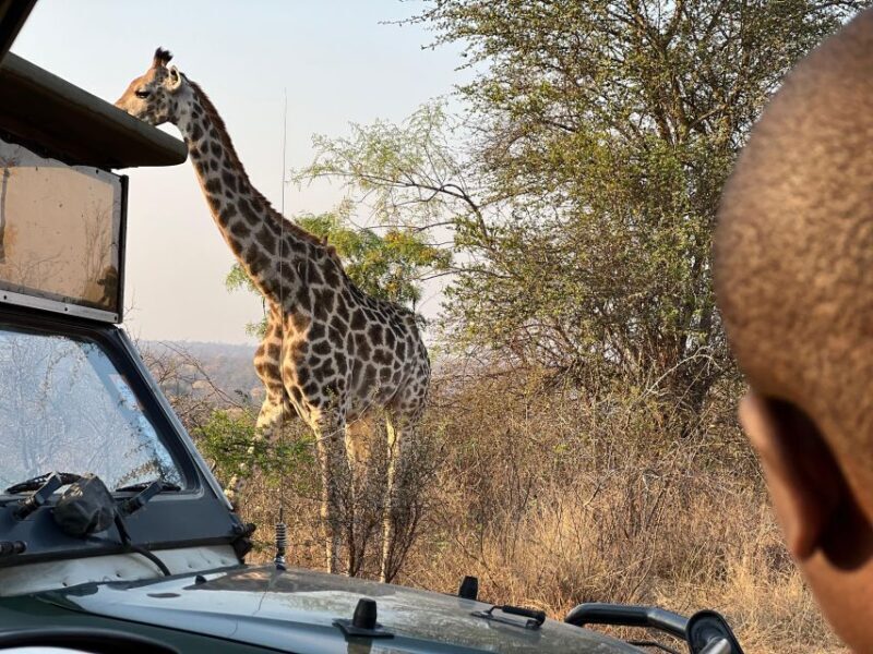 Johannesburg Safari Day Tour - Pilanesberg Big 5 Adventure - FAQ